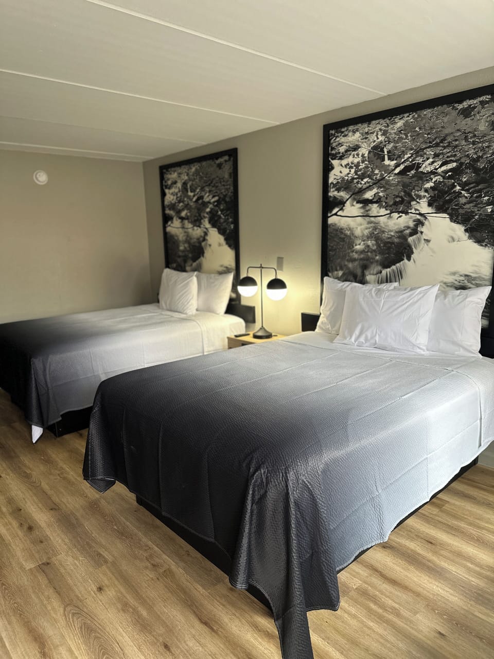 Desk, iron/ironing board, free cribs/infant beds, free rollaway beds