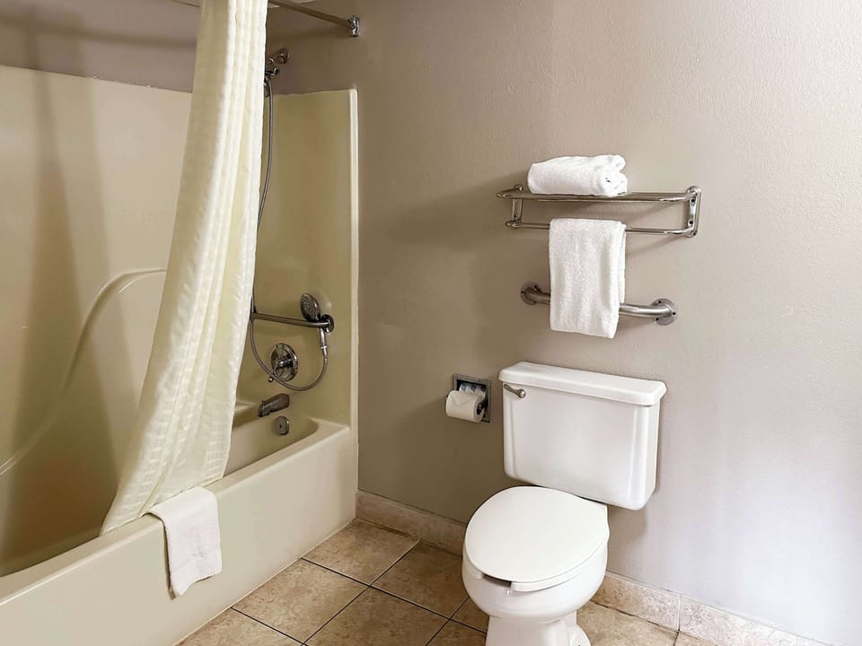 Combined shower/tub, free toiletries, hair dryer, towels