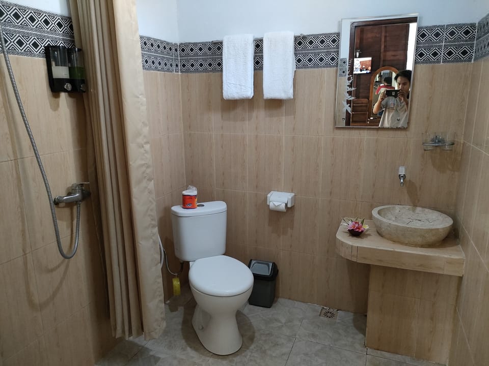 Shower, rainfall showerhead, bidet, towels
