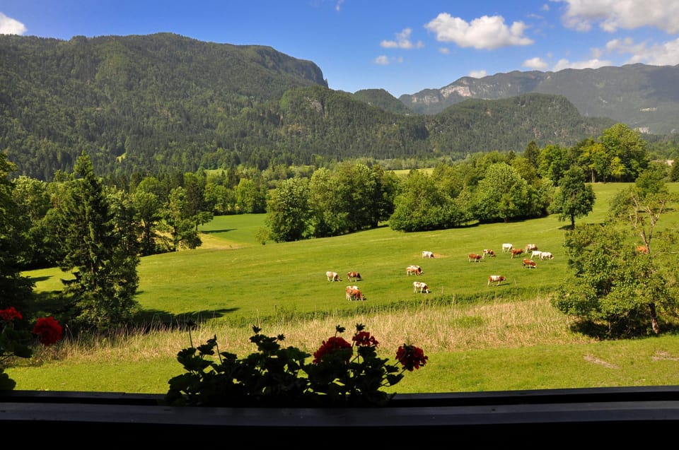 Standard Double Room | Balcony