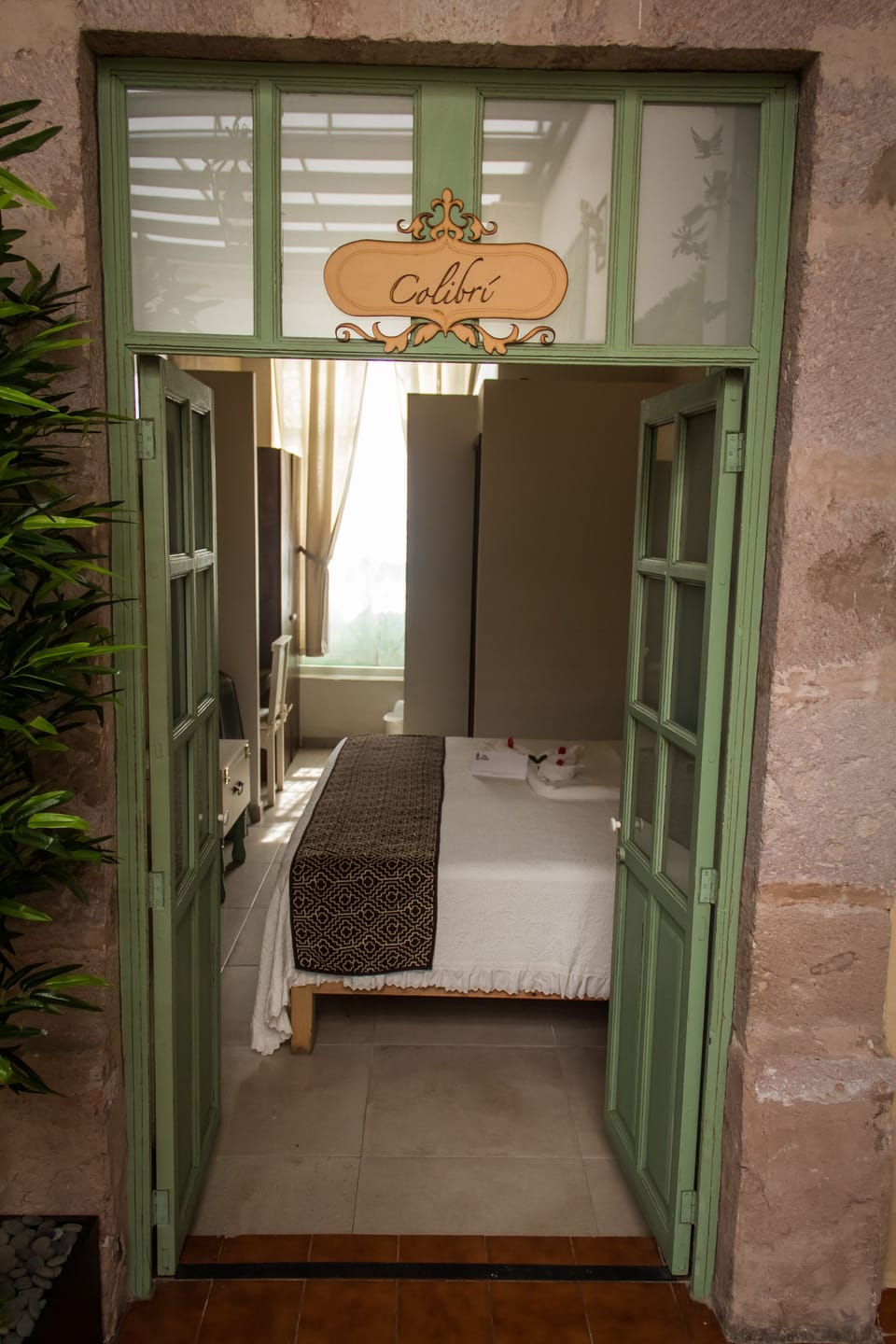 Superior Room | View from room