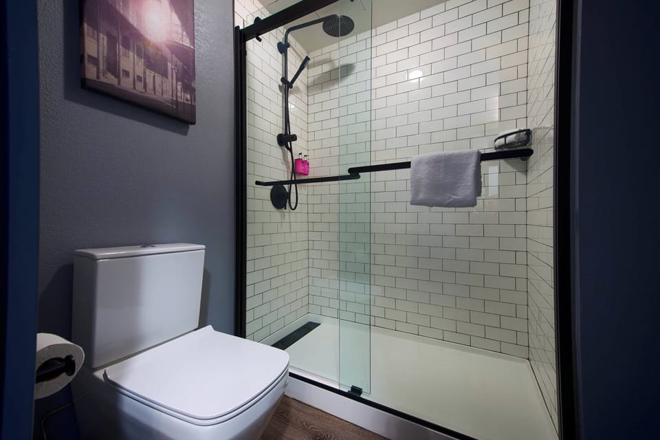Designer toiletries, hair dryer, towels