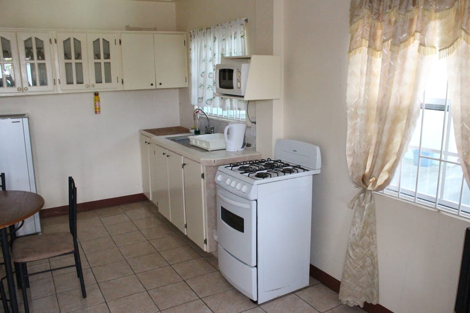 Apartment, 2 Double Beds | Private kitchen | Fridge, microwave, cookware/dishes/utensils