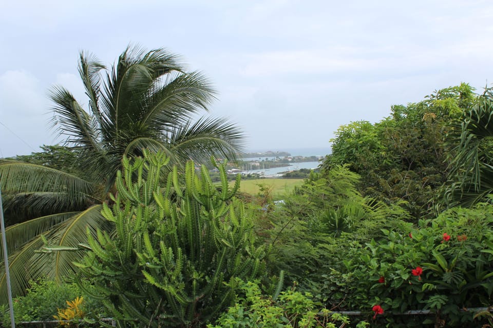 Relax Inn Grenada West Indies Hotel in True Blue