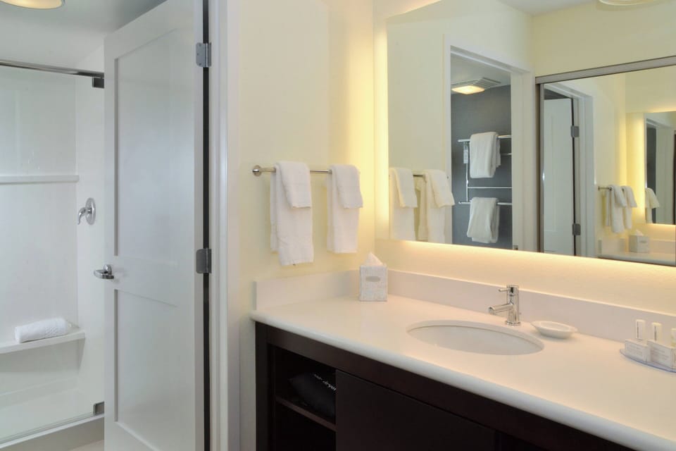 Studio, 1 King Bed with Sofa bed | Bathroom | Hair dryer, towels