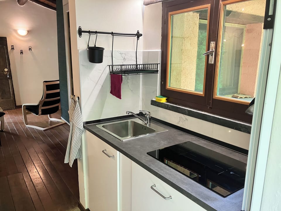 Studio | Private kitchen | Fridge, microwave, stovetop, electric kettle
