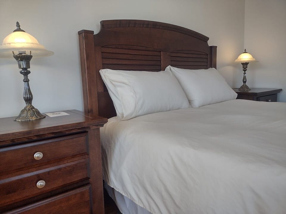 Classic Room, 1 Queen Bed (#1) | Living area | Books