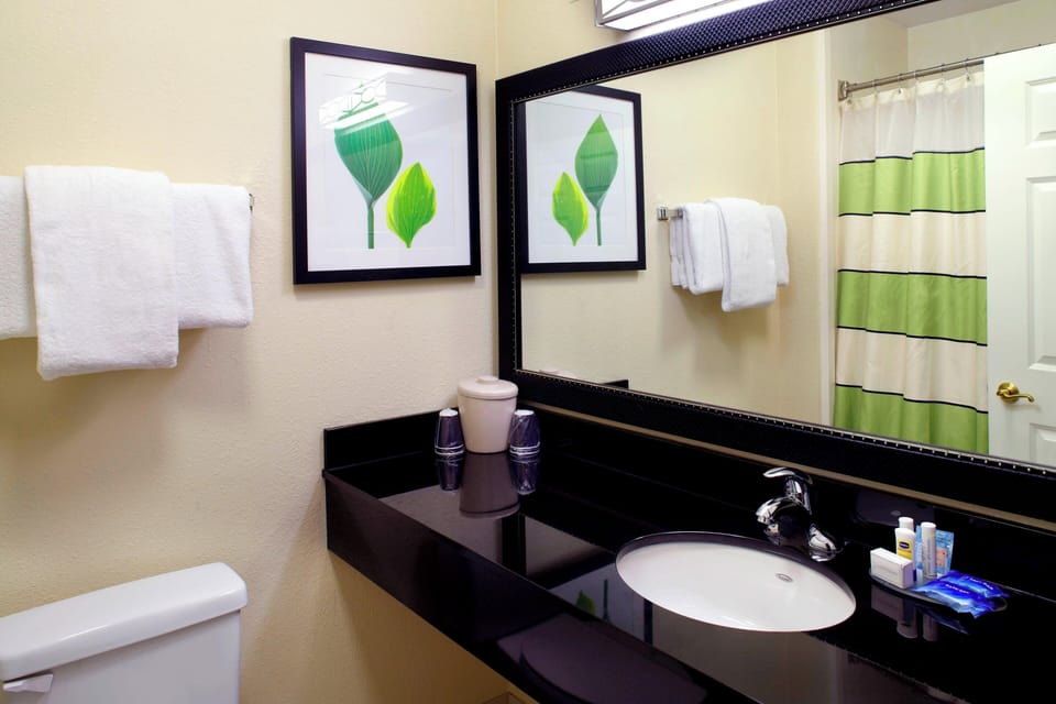 Combined shower/tub, free toiletries, hair dryer, towels