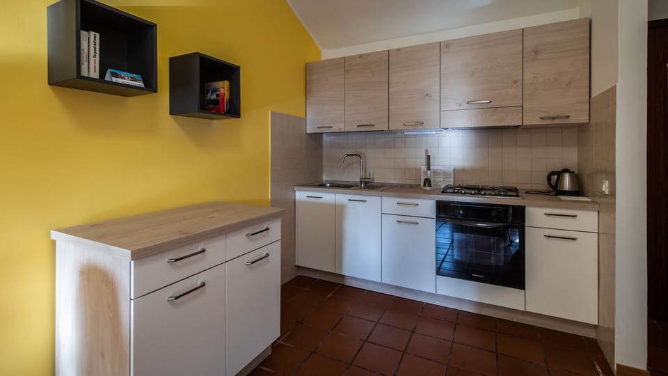 Apartment (1 Bedroom) | Private kitchen | Microwave, oven, electric kettle, toaster