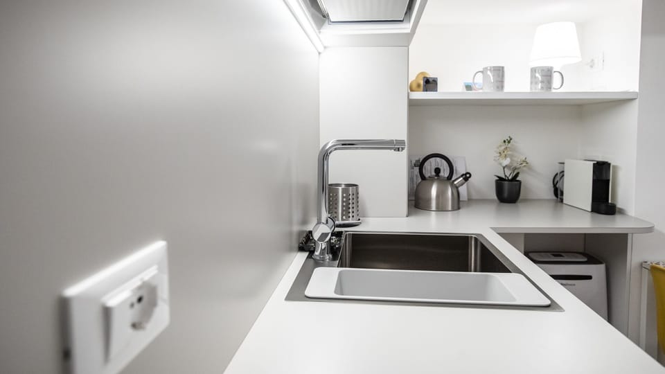 Apartment (0 Bedroom) | Private kitchen | Fridge, microwave, oven, espresso maker