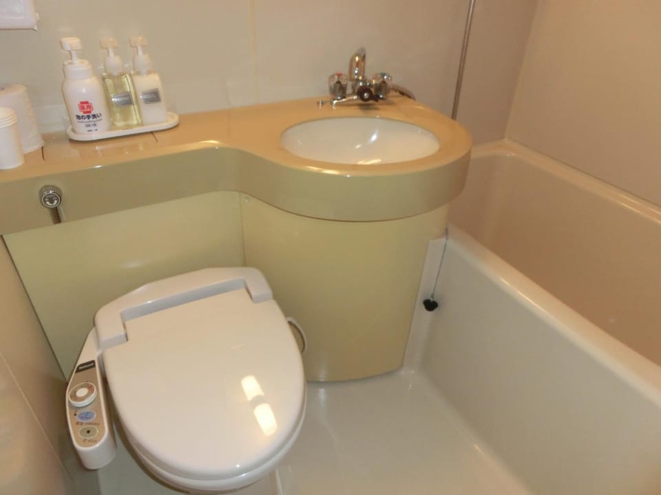 Hair dryer, slippers, electronic bidet, towels
