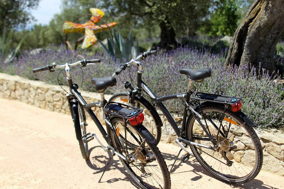 Hotel Mas Lazuli Hotel in Alt Empordà