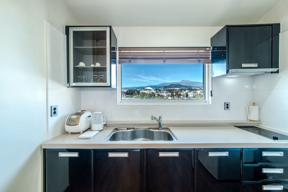 Deluxe Double Room | Private kitchenette | Fridge, electric kettle, rice cooker, cookware/dishes/utensils