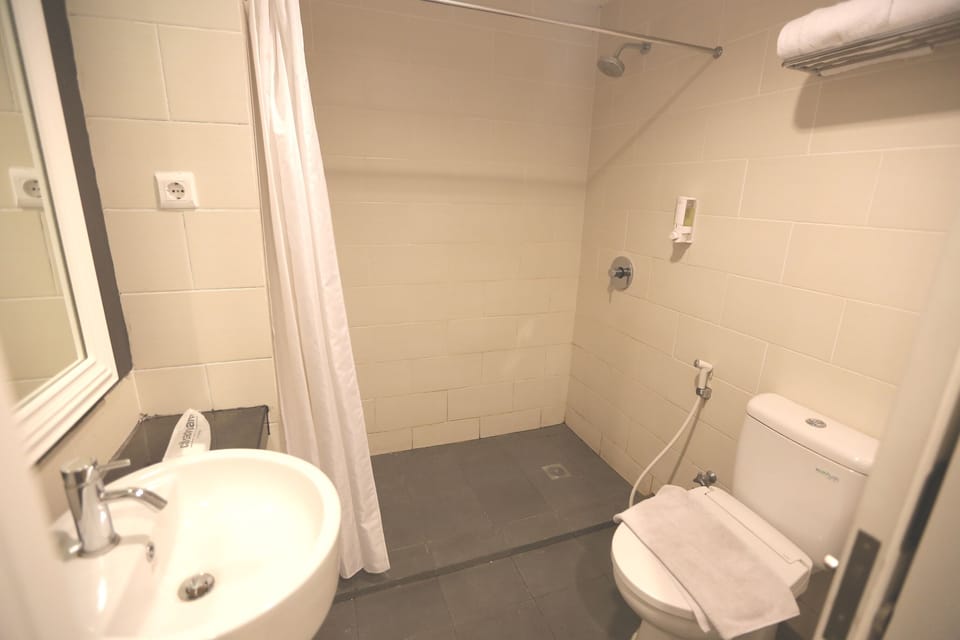 Shower, free toiletries, hair dryer, slippers