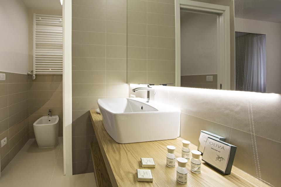 Shower, free toiletries, hair dryer, bidet