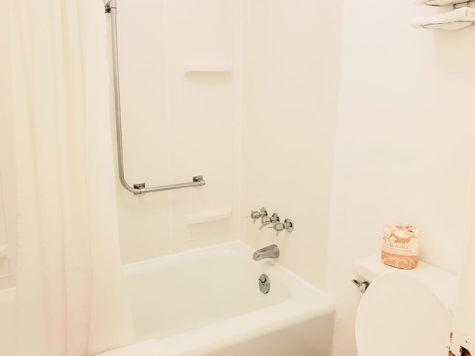 Combined shower/tub, free toiletries, hair dryer, towels