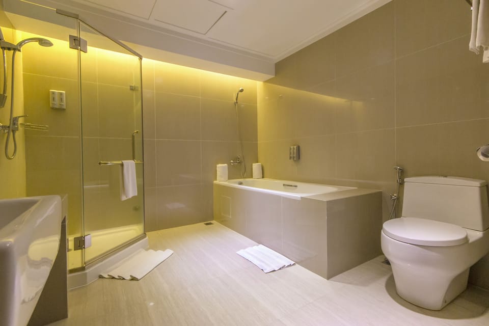 Shower, free toiletries, hair dryer (on request), slippers
