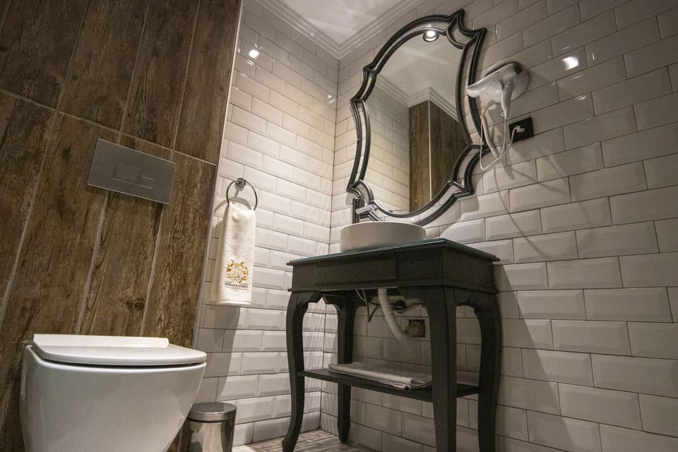 Shower, free toiletries, hair dryer, slippers
