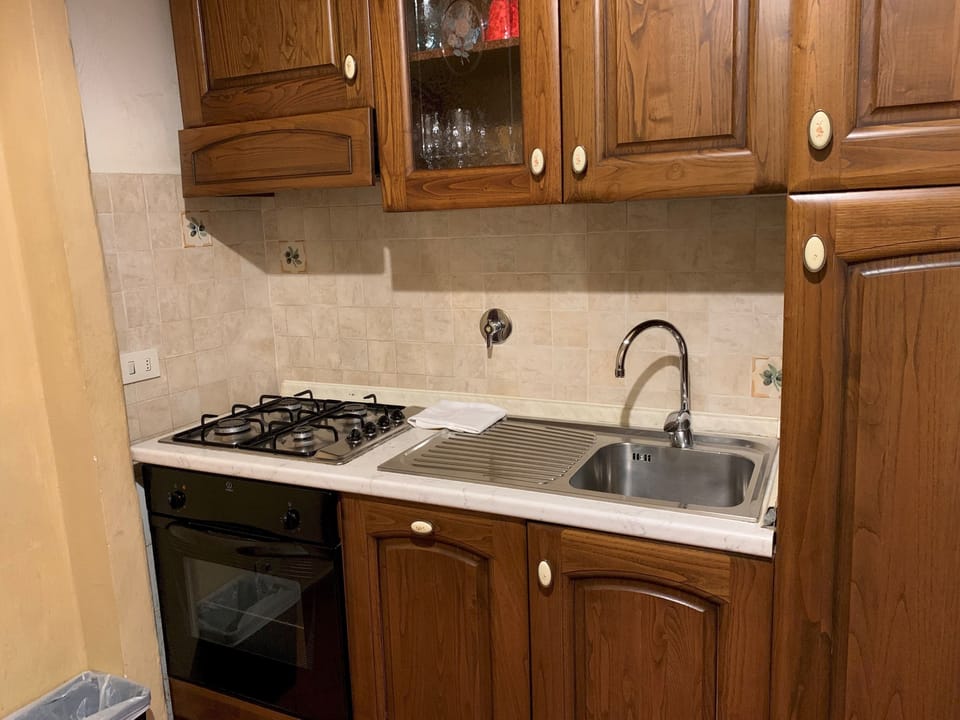 House | Private kitchen | Dishwasher