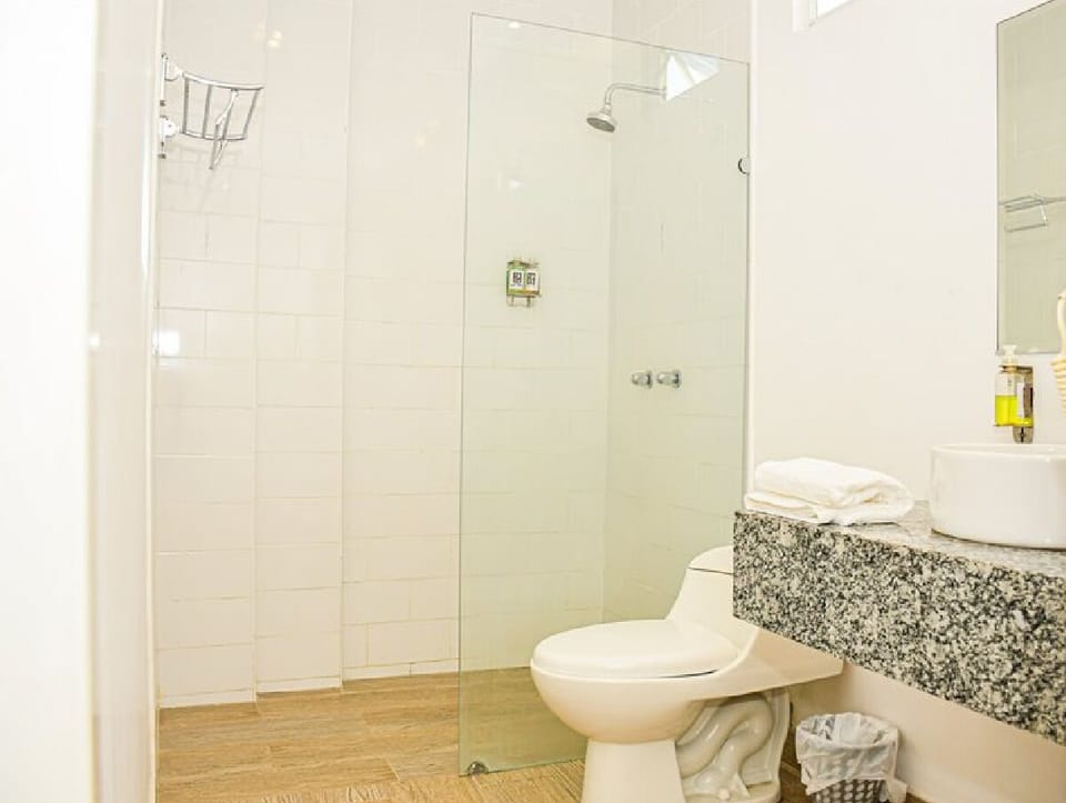 Shower, towels