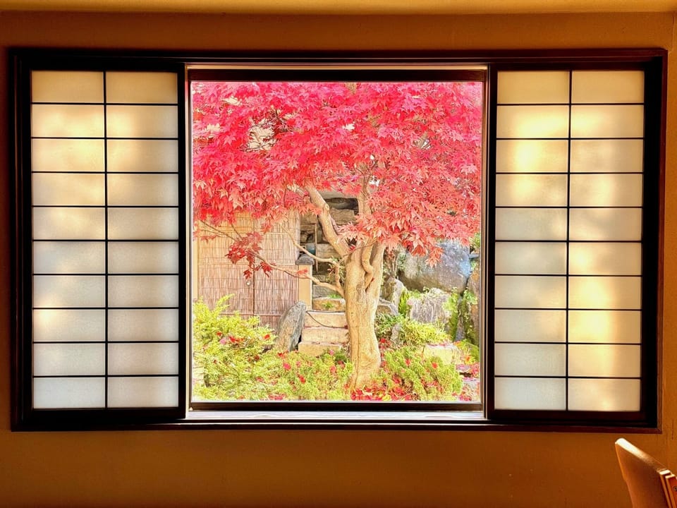 Japanese garden