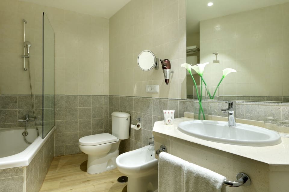 Combined shower/tub, eco-friendly toiletries, hair dryer, bidet