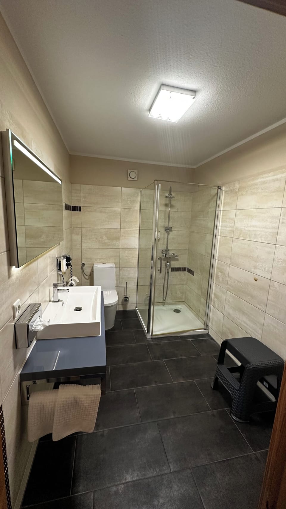 Suite | Bathroom | Shower, free toiletries, hair dryer, towels
