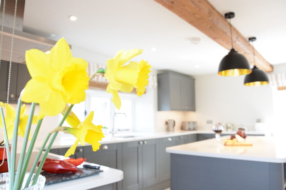 Fridge, dishwasher, cookware/dishes/utensils