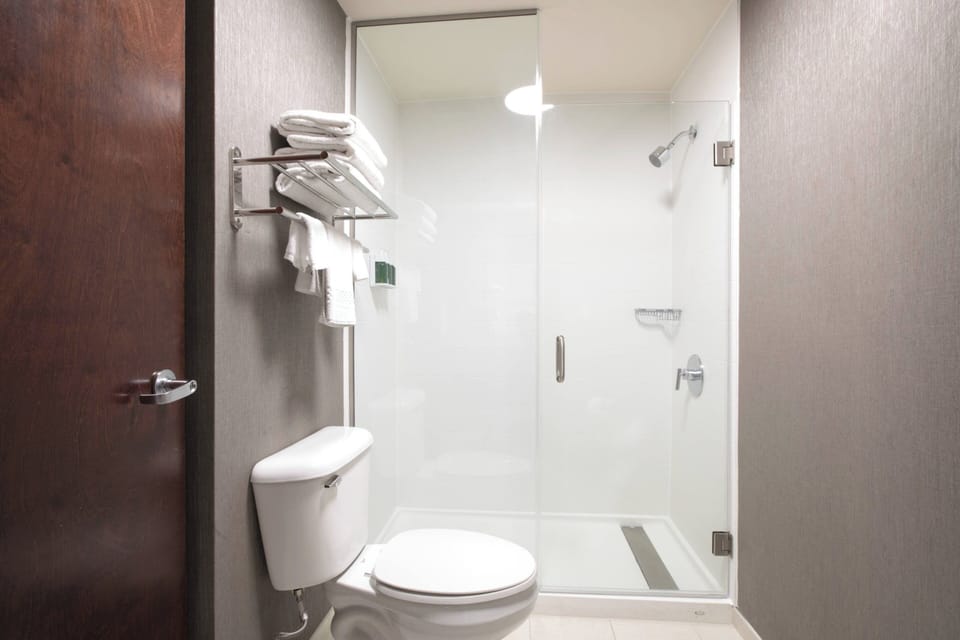 Free toiletries, hair dryer, towels