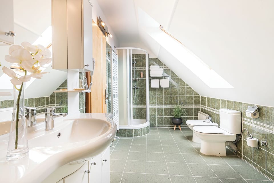 Penthouse | Bathroom | Shower, free toiletries, hair dryer, bathrobes