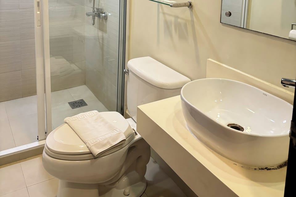 Deluxe Twin Room | Bathroom | Shower, rainfall showerhead, free toiletries, hair dryer