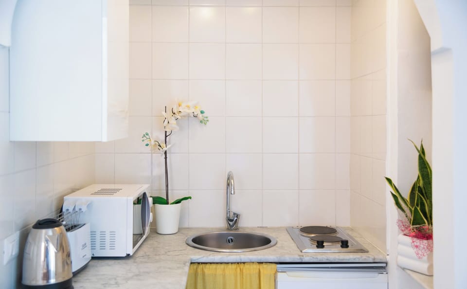 Economy Apartment, 1 King Bed, City View, Annex Building | Private kitchen | Shared fridge, microwave, electric kettle, highchair