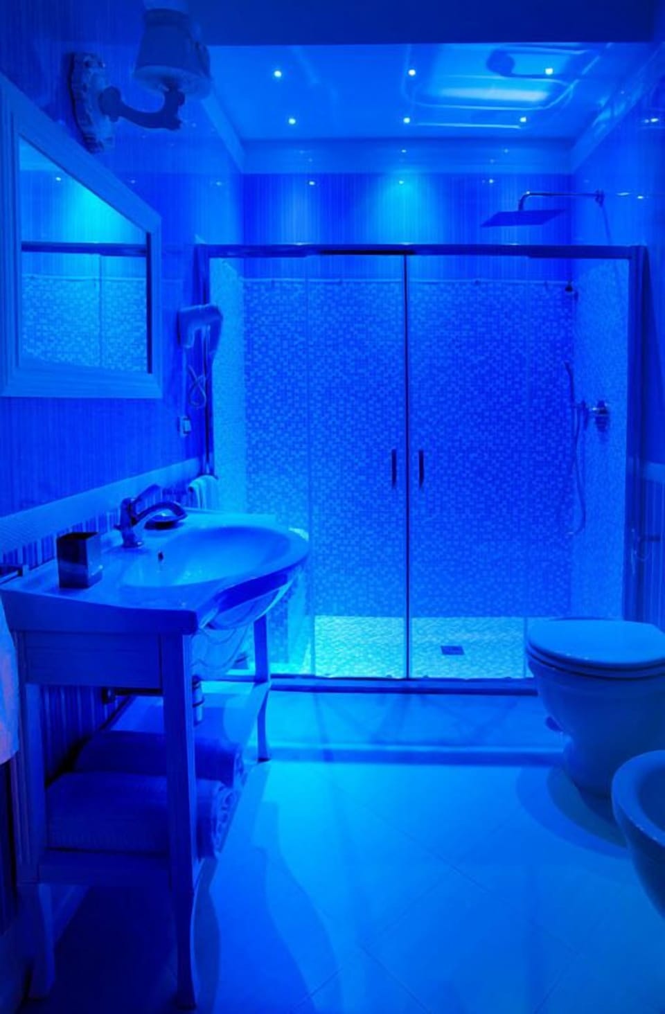 Executive Room | Bathroom | Shower, free toiletries, hair dryer, slippers