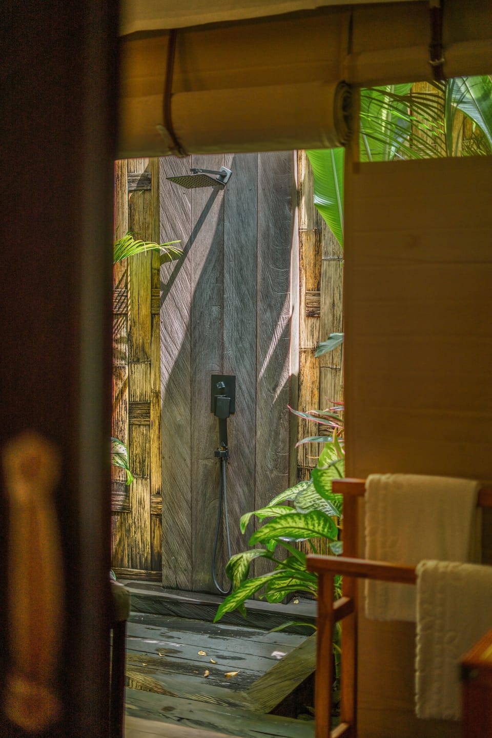 Separate tub and shower, jetted tub, hydromassage showerhead