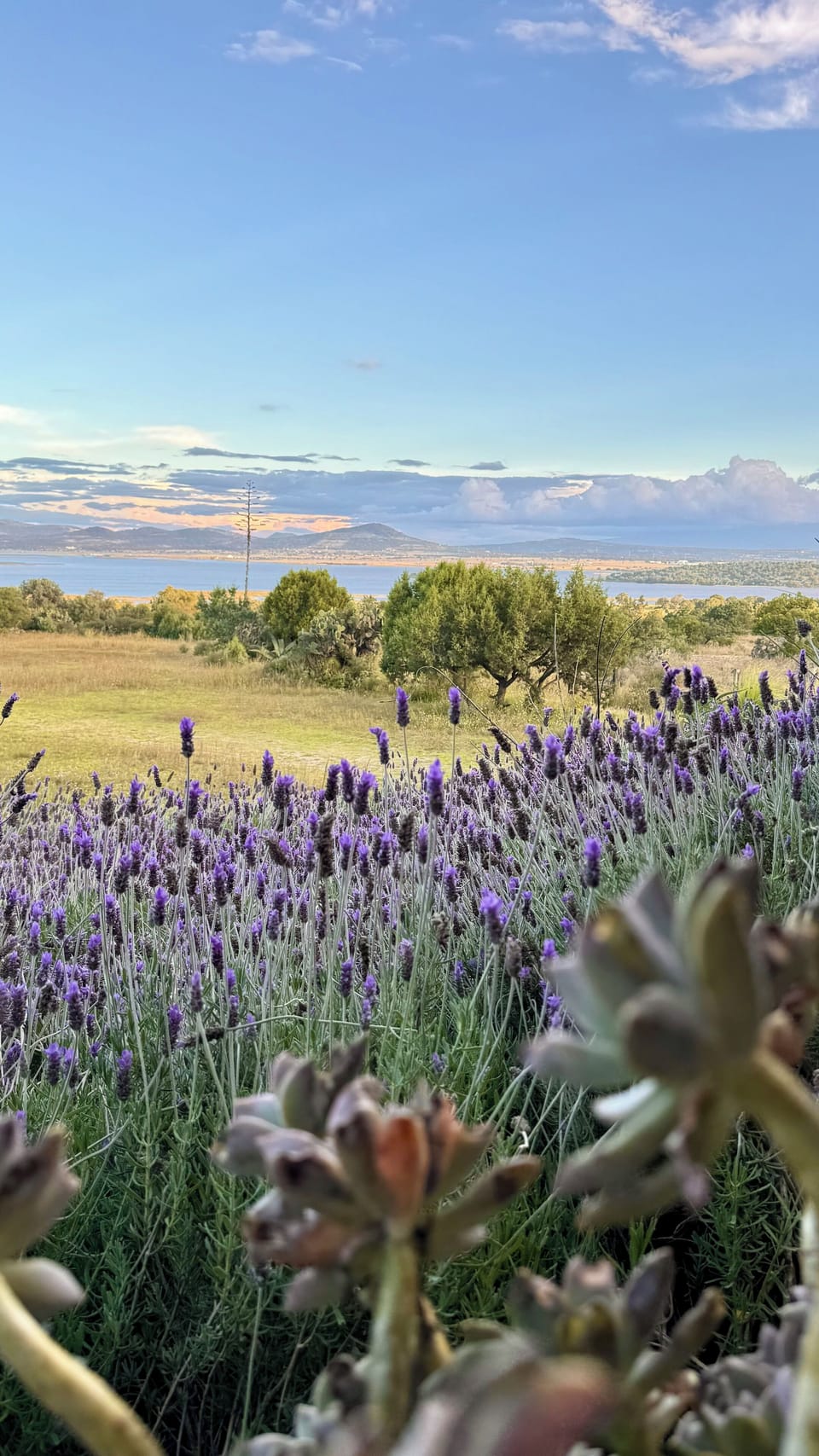 View from property