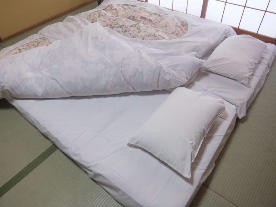Down comforters, in-room safe, iron/ironing board (on request)