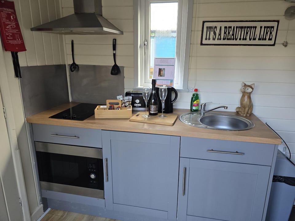 Cabin | Private kitchen | Fridge, microwave, stovetop, electric kettle