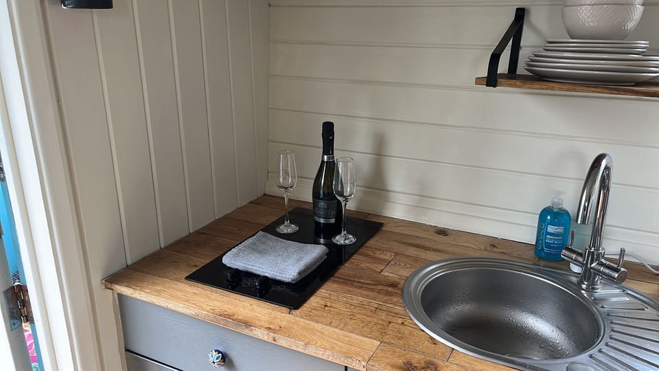 Cabin | Private kitchen | Fridge, microwave, stovetop, electric kettle