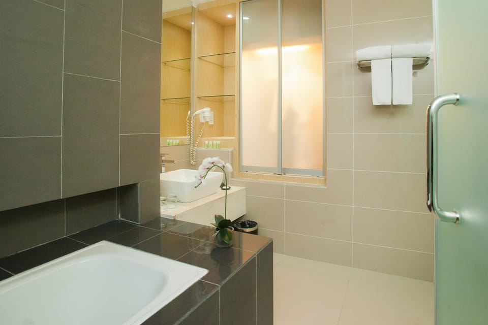 Separate tub and shower, free toiletries, hair dryer, bathrobes