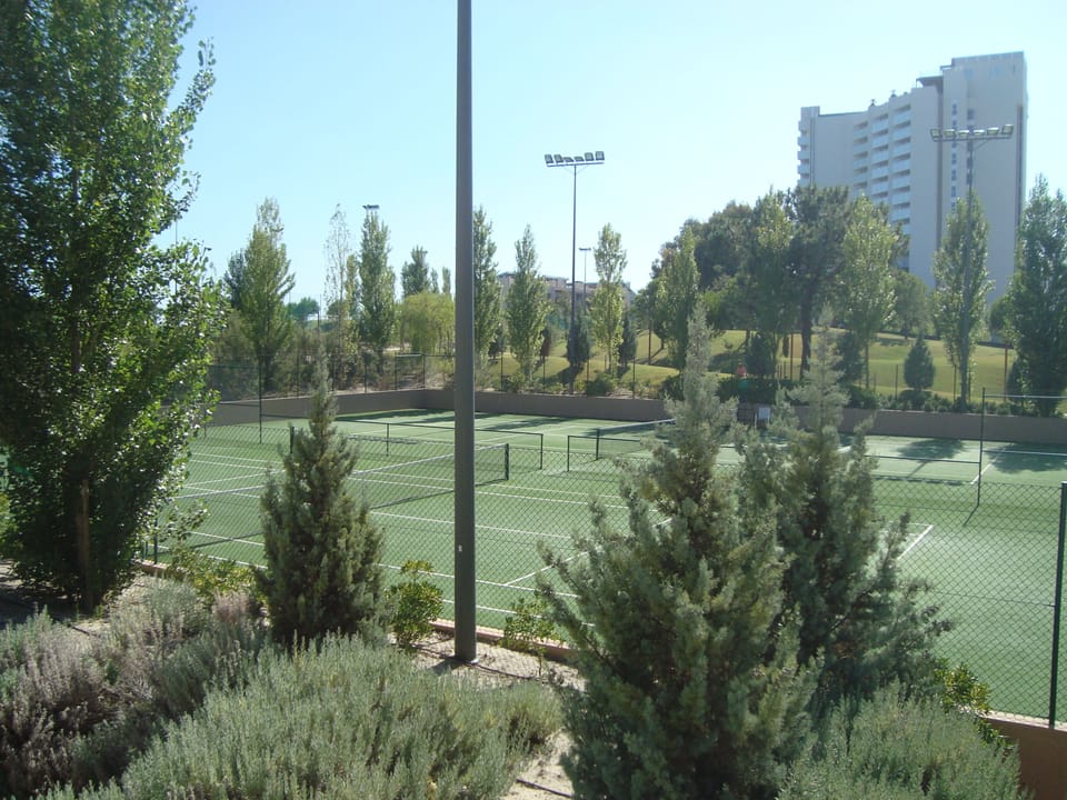 Tennis court
