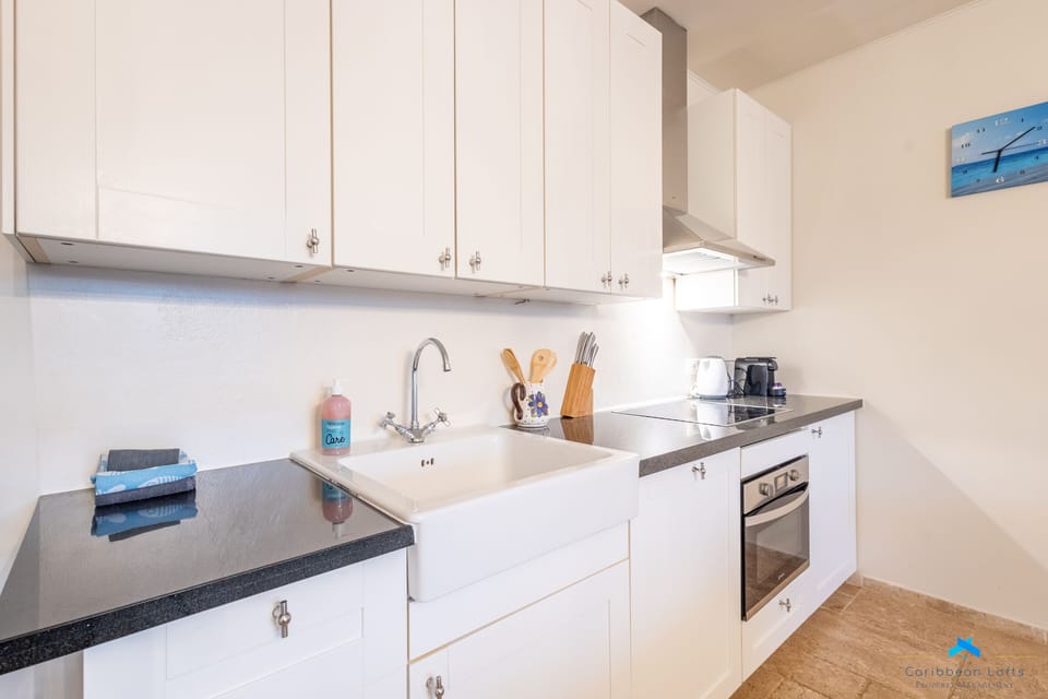 Panoramic Condo | Private kitchen | Full-size fridge, microwave, oven, stovetop
