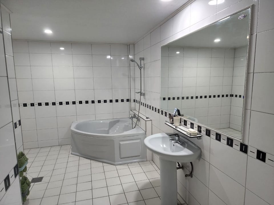 VIP Double Room | Bathroom | Free toiletries, hair dryer, slippers, towels