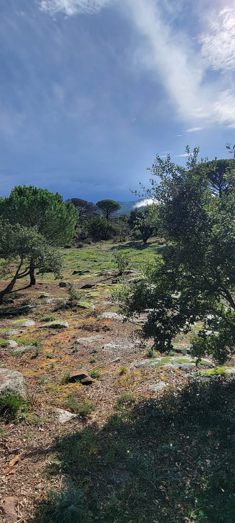 Hiking