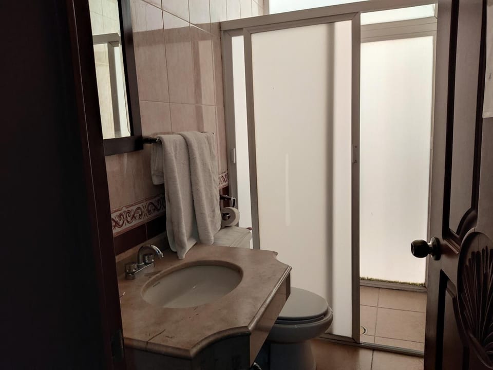 Shower, free toiletries, hair dryer, towels