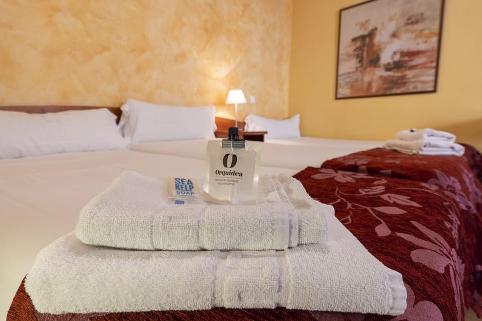 Triple Room | Down comforters, blackout drapes, free WiFi, bed sheets