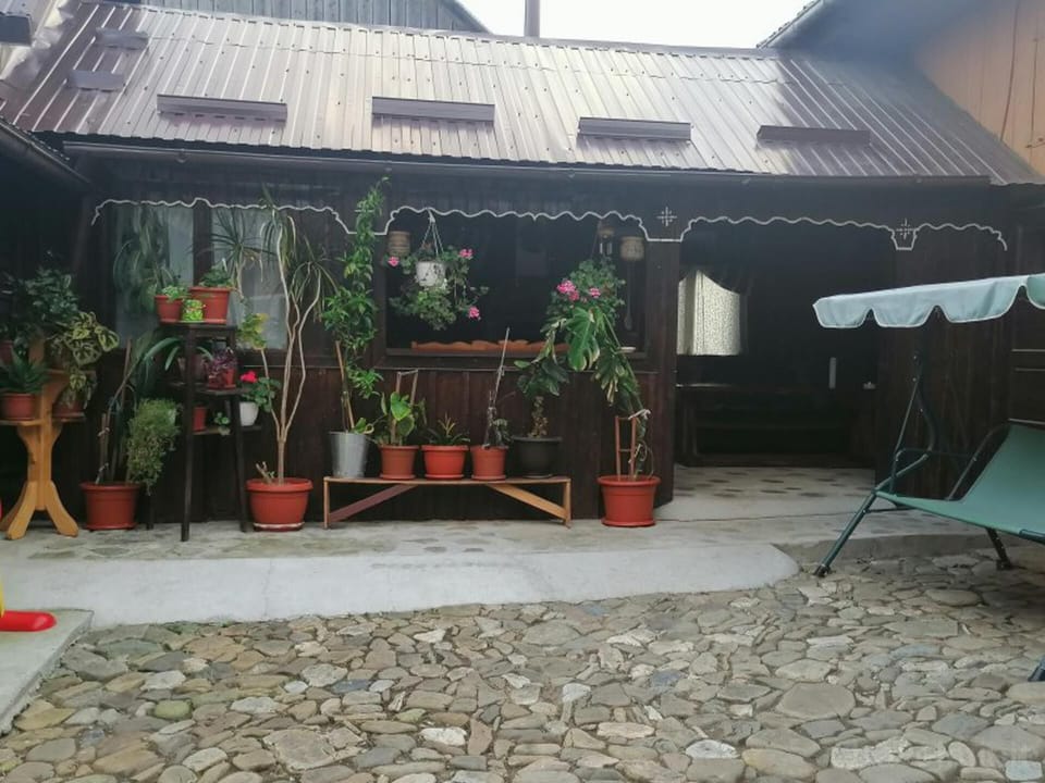 House | Property grounds