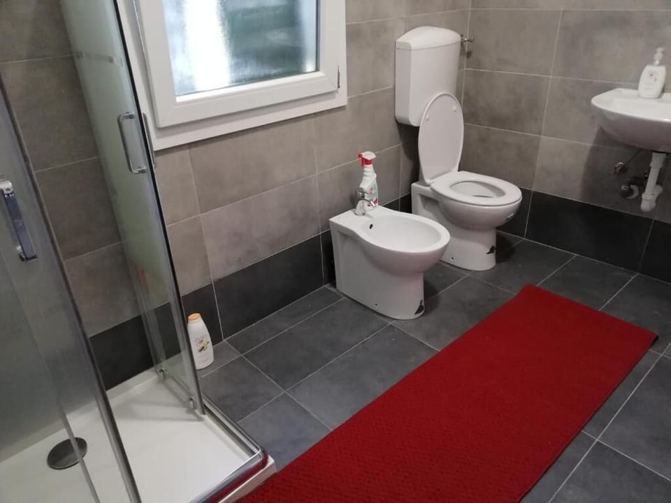 Hair dryer, bidet, towels, soap