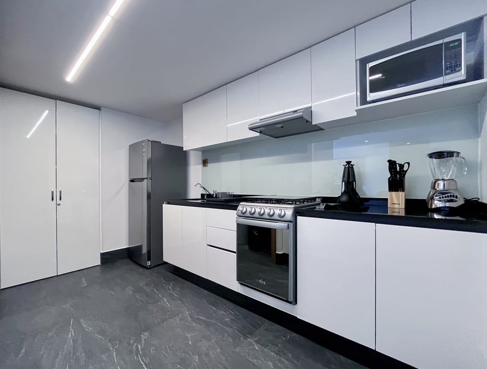 Signature Apartment | Private kitchen | Full-size fridge, microwave, oven, espresso maker