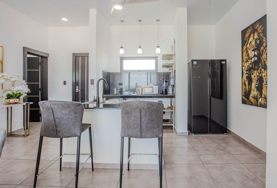 Deluxe Apartment | Private kitchen | Fridge, microwave, toaster, blender
