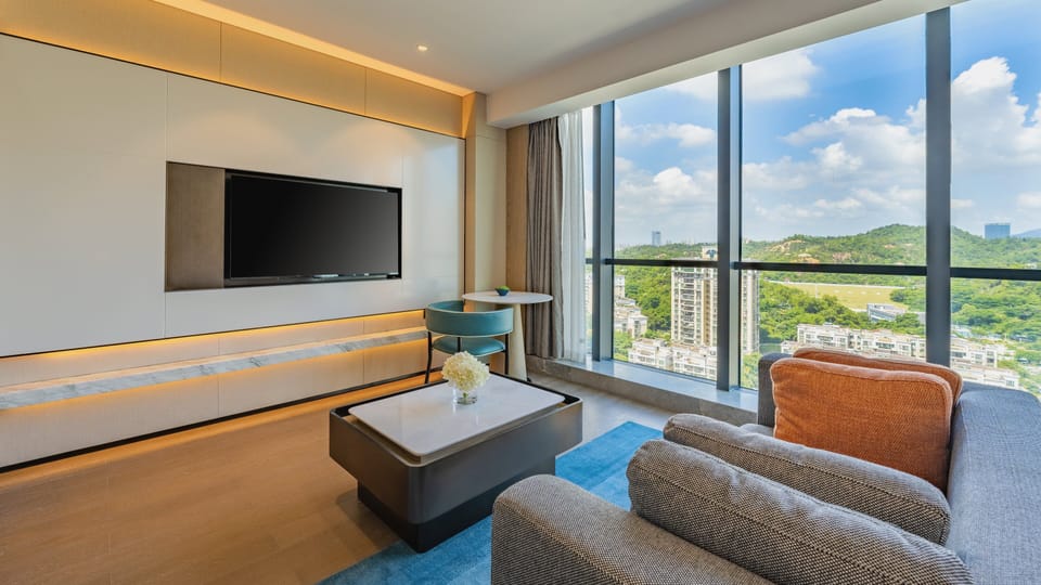 Premium Room, 1 King Bed, City View | View from room